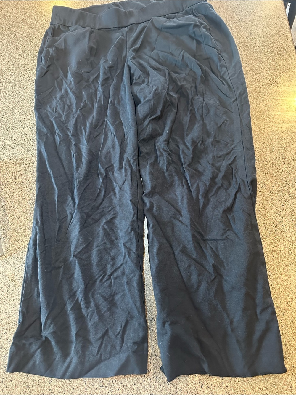 Lane Bryant pants
